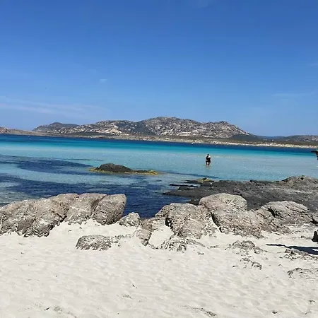I Pescatori Di Stelle-o9 Maia