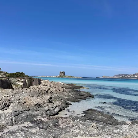 I Pescatori Di Stelle-o9 Maia *