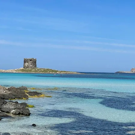 I Pescatori Di Stelle-o9 Maia Stintino